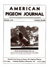 Magazine Cover